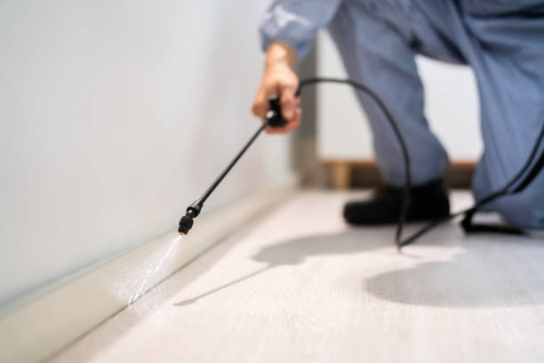 Licensed Mosquito Control service in Basehor, KS - Show Me Pest Control