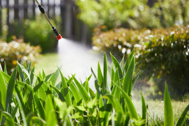 24/7 Emergency Mosquito Control experts in Basehor, KS