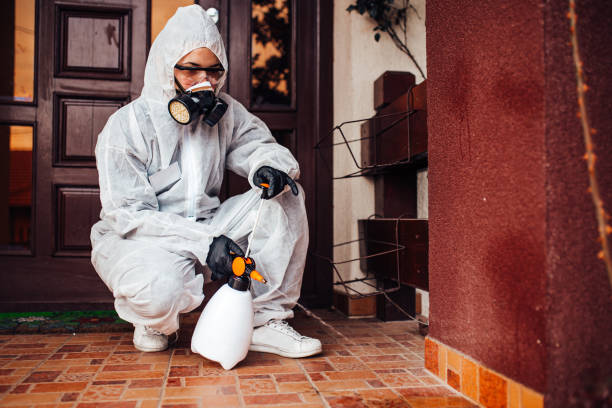 Reliable Mosquito Control contractor in Basehor, KS by Show Me Pest Control